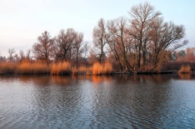 Gölde doğal görünümü yansıması ile. Sabahın erken saatlerinde gölet