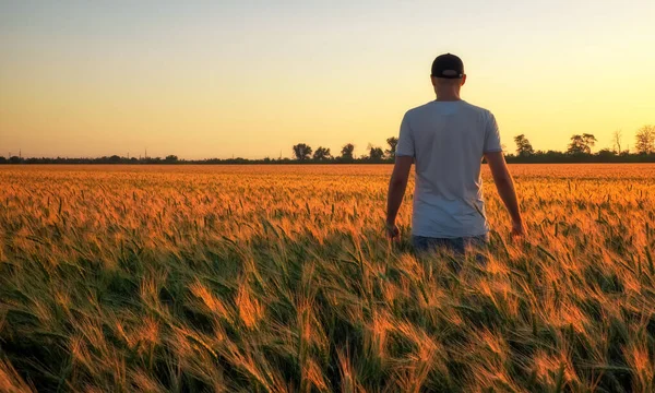 Male farmer standing in a wheat field during sunset. Man Enjoys — Stock Photo, Image