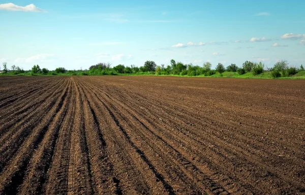 Preparing field for planting. Plowed soil in spring time with tw — Stok fotoğraf