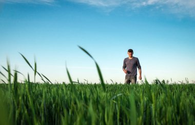 Yakışıklı çiftçi. Yeşil alanda yürüyen genç bir adam. Bahar agricu