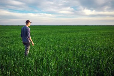 Yakışıklı çiftçi. Yeşil alanda yürüyen genç bir adam. Bahar agricu