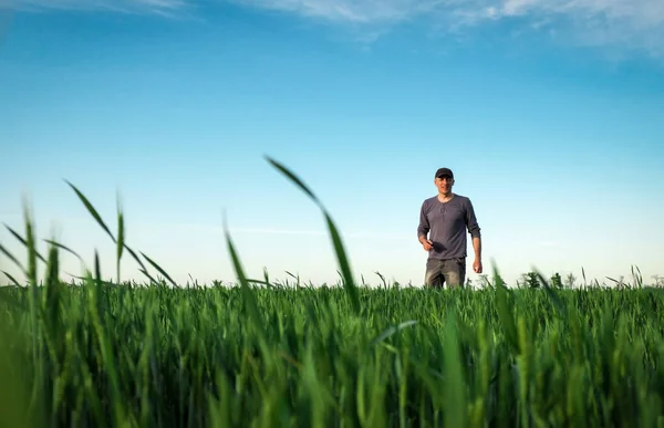 Красивый фермер. Молодой человек ходит по зеленому полю. Весеннее сельское хозяйство — стоковое фото
