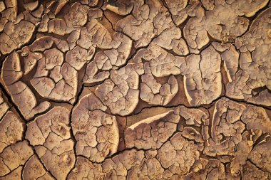 Kurumuş toprak toprak zemin dokusu. Güneşli kuru toprak mozaik deseni