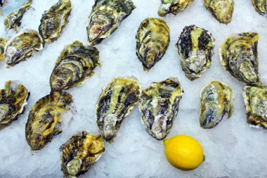 Taze istiridye ve buzlu bir limon..