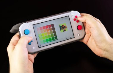 MOSCOW, RUSSIA - 18 Şubat 2020: Grey Nintendo Switch Lite. El bilgisayarı oyununa son giriş, fiyatı 1990 dolar 99 sent.