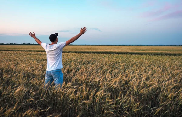 Чоловічий Фермер Стоїть Пшеничному Полі Під Час Заходу Сонця Людина — стокове фото