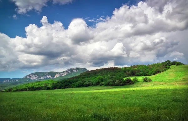 Green Meadow Mountain Composition Nature — Stock Photo, Image