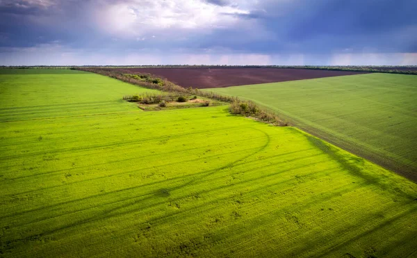 Flygfoto Över Jordbruksfälten Regnigt Väder Naturligt Gräs — Stockfoto