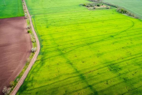 Вид Воздуха Сельскохозяйственные Поля Дорогу Дождливая Погода Естественная Трава — стоковое фото
