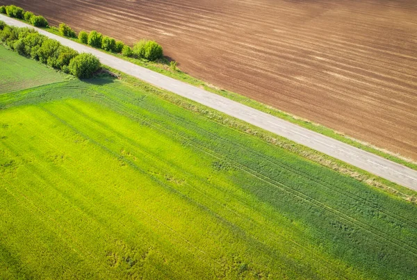 Aerial View Agricultural Fields Broken Patched Road Natural Grass — Stock Photo, Image