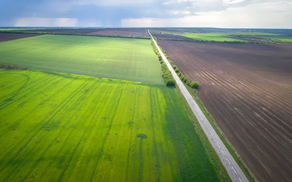 Aerial View Agricultural Fields Road Rainy Weather Natural Grass — Stock Photo, Image