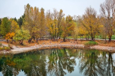 Güzel manzara. Nehir kıyısındaki sonbahar ağaçları