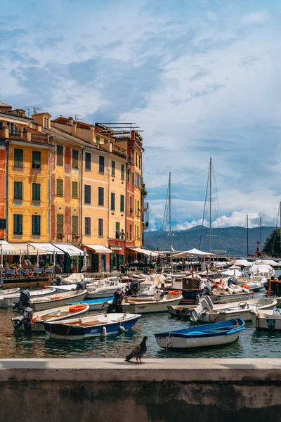 Vistas Panorámicas Portofino Uno Los Pueblos Costeros Más Populares Riviera — Foto de Stock