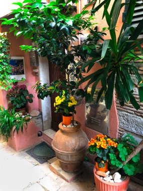 Portofino, İtalyan Riviera, İtalya ve Avrupa 'da renkli binalar ve yeşil bahçeli güzel dar bir cadde..