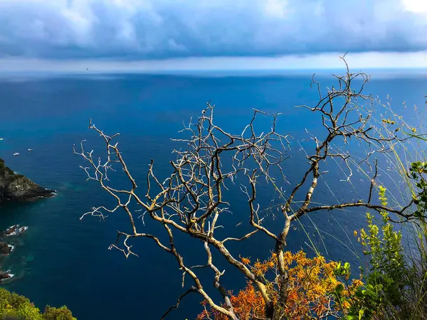 Krásný Široký Panoramatický Výhled Středomořské Tyrkysové Moře Viditelné Přes Suchý — Stock fotografie