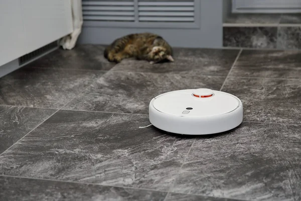 猫躺在石板地板上 工作机器人吸尘器 白色机器人吸尘器 — 图库照片