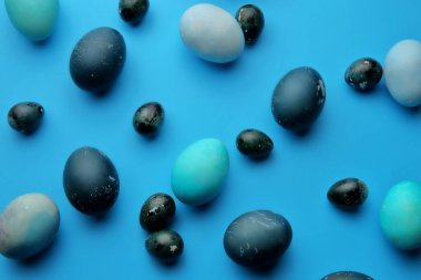 Pastel mavi arka planda Paskalya tavuğu ve bıldırcın yumurtası. Yukarıdan manzara. Paskalya konsepti.