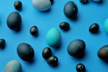Pastel mavi arka planda Paskalya tavuğu ve bıldırcın yumurtası. Yukarıdan manzara. Paskalya konsepti.