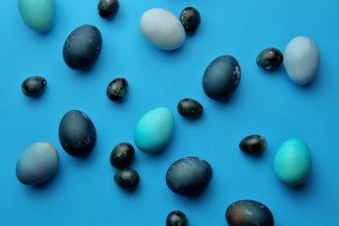 Pastel mavi arka planda Paskalya tavuğu ve bıldırcın yumurtası. Yukarıdan manzara. Paskalya konsepti.