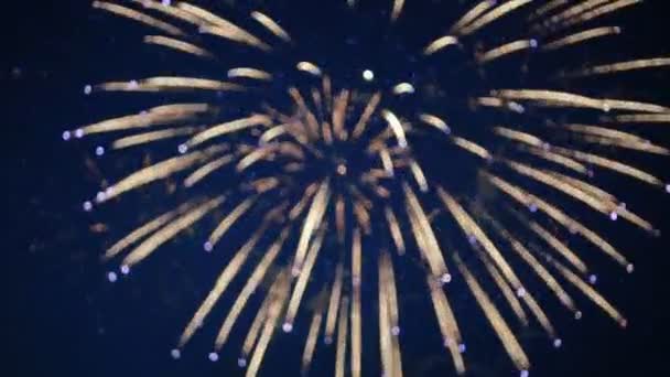 Gyönyörű tűzijáték az égen. — Stock videók