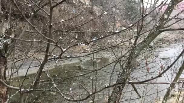 Rivière de montagne pendant le smowfall 