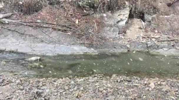 Mountain river during smowfall — Stock Video
