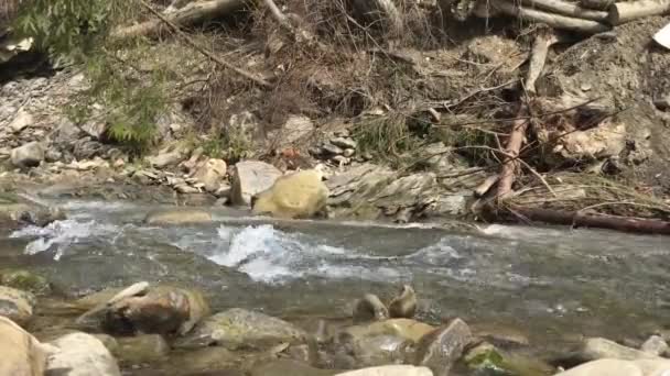 Rio de montanha em dia ensolarado com áudio — Vídeo de Stock