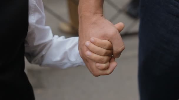 父亲握着他的儿子的手 — 图库视频影像