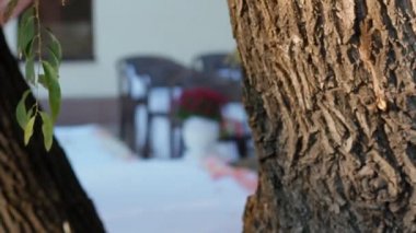 Dekorasyon düğün töreni için