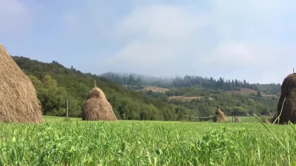 Niebla disipada sobre la montaña — Vídeo de stock