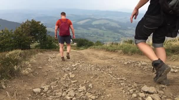 Gruppe von Menschen geht den Pfad in den Bergen hinunter — Stockvideo