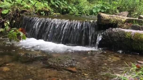 Kleiner Wasserfall in den Karpaten — Stockvideo
