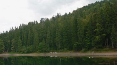 Turistler gölü yakınındaki ahşap birlikte gitmek
