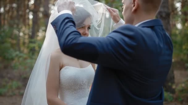 Van de sluier van zijn bruid bruidegom — Stockvideo