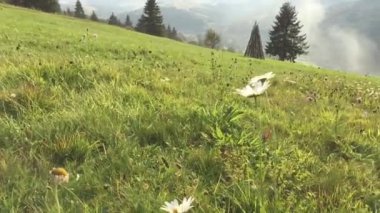 Dağları olan güzel bir manzara