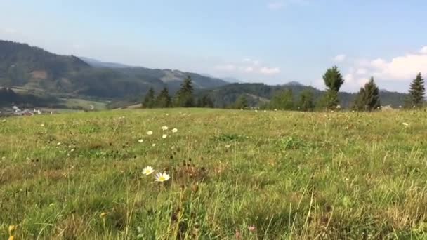 Vackert landskap med berg — Stockvideo