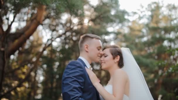 Bride and groom pose in the wood — Stock Video