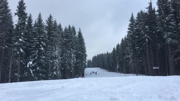 Menschen fahren auf der Piste im Skigebiet — Stockvideo