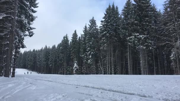 Emberek lovagolni a pályán, a ski resort — Stock videók