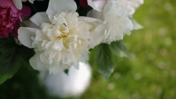 Décoration de mariage. Bouquet avec pivoine colorée . — Video