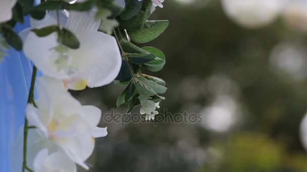Svatební dekorace. Oblouk s přírodními květinami — Stock video