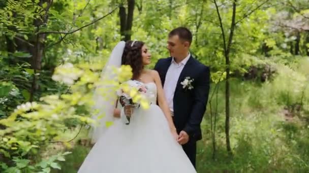 Nevěsta a ženich představují v lese — Stock video