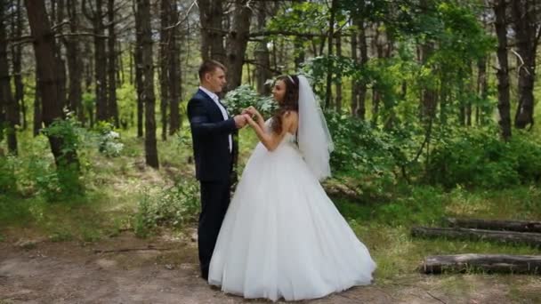 Noiva e noivo posar na madeira — Vídeo de Stock