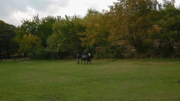 Duas mulheres ajudam o menino a montar um cavalo — Vídeo de Stock