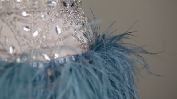 Details of luxury dress with sequins and feather — Stock Video