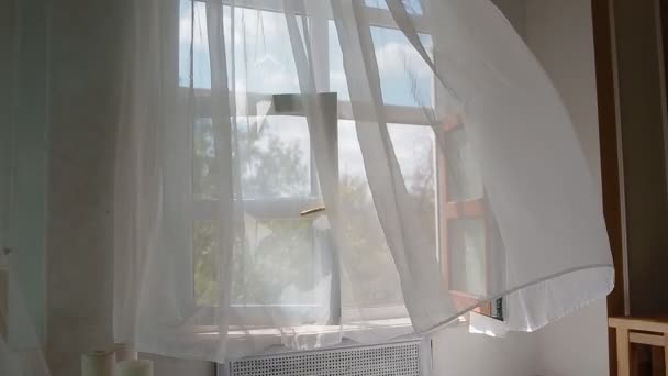 Открытое окно с белым занавесом — стоковое видео