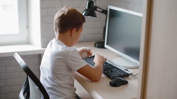 Pojke lär hur man använder dator. — Stockvideo