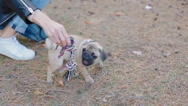 Biała kobieta gra na pug puppy na zewnątrz — Wideo stockowe