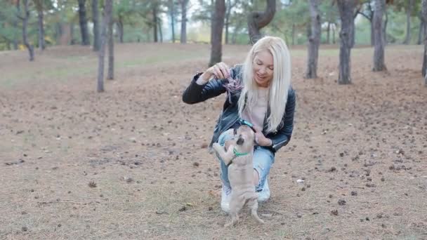 Donna bianca che gioca con cucciolo di carlino all'aperto — Video Stock