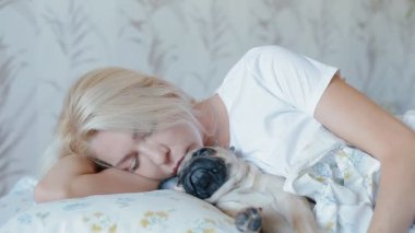 Beyaz kadın evde beslenen hayvan köpek pug